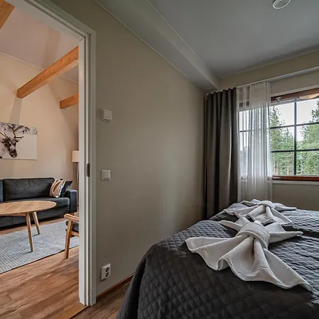 Nordic Alpine C5 Ski-in Ski-out By Aavalevi *