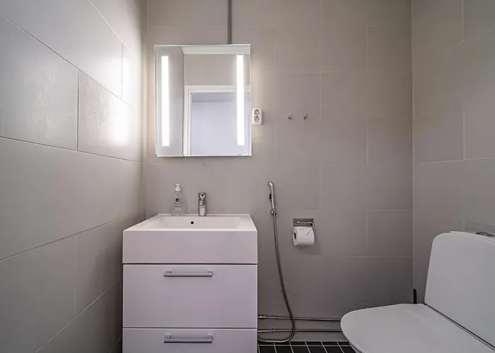 Nordic Alpine C5 Ski-in Ski-out By Aavalevi 아파트