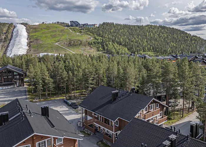 Nordic Alpine C5 Ski-in Ski-out By Aavalevi 레비